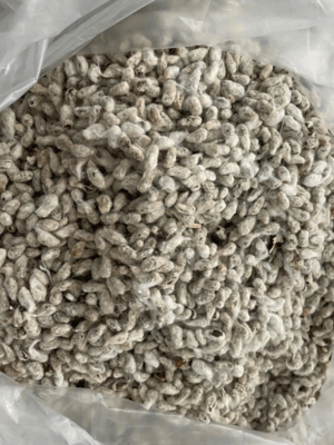 Captura de tela 2025-11-22 135421